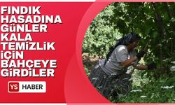 Fındık hasadına günler kala üretici, temizlik için bahçeye girdi