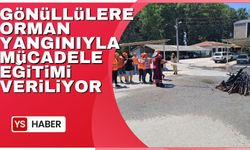 Sakarya'da gönüllülere orman yangınlarıyla mücadele eğitimi veriliyor