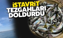 İstavrit bol olunca fiyatlar düştü