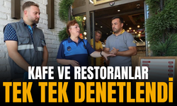 Tek tek denetlediler