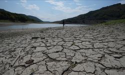 Batı Karadeniz'de mevsimsel kuraklık tarımsal üretim alışkanlığında değişim sinyali veriyor!