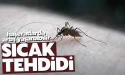 Sıcaklık hastalığı beraberinde getirebilir!