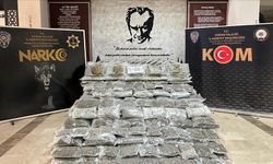 266 kilo 489 gram skunk ele geçirildi! Tutuklandı...