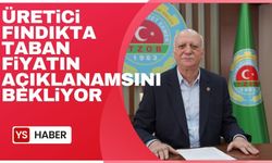 Üretici fındıkta taban fiyatın açıklanmasını bekliyor