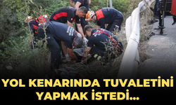 Yol kenarında tuvaletini yapmak istedi... Hayatını kaybetti