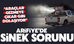 Arifiye'de sinek sorunu!