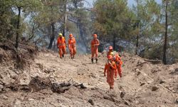 Bolu'daki orman yangını 72 saatin ardından kontrol altına alındı