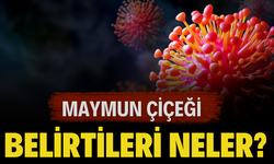 Maymun Çiçeği Virüsü Belirtileri Nelerdir?