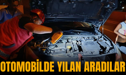 Otomobilde yılan aradılar