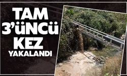 Erpiliç tam 3 kez zehirli atıktan yakalandı