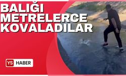 Balığı metrelerce kovaladılar