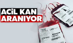 Sakarya’da ‘acil’ kan aranıyor!