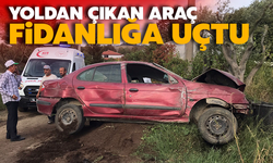 Yoldan çıkan araç fidanlığa uçtu