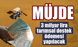 Çiftçilere müjde! 3 milyar lira tarımsal destek ödemesi yapılacak