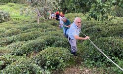 Rize'de ilkel teleferikten düşen kadın yaralandı