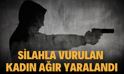 Silahla başından vurulan kadın ağır yaralandı