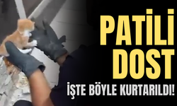 Patili minik dost böyle kurtarıldı!