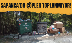 Sapanca Rüstempaşa Mahallesi'nde Çöpler Toplanmıyor!