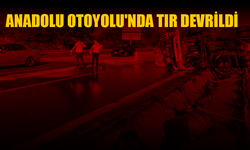 Anadolu Otoyolu'nda tır devrildi