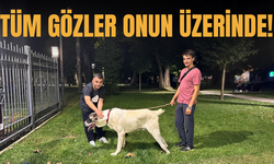 Görenler bir daha bakıyor! Tüm gözler Niko'nun üzerinde...