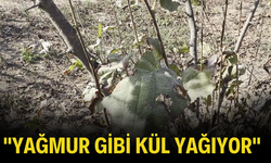 Sakarya'nın o mahallesine yağmur yerine kül ve toz yağıyor