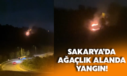 Sakarya’da ağaçlık alanda yangın!