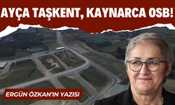 Ayça Taşkent’ten Kaynarca OSB'leri İçin Soru Önergesi