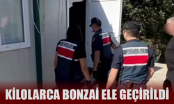 Kilolarca bonzai ele geçirildi