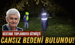 Kocaali'de Kestane Toplamak İçin Çıkan Yaşlı Adamın Cansız Bedeni Bulundu