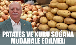 Bayraktar: "Devlet patates ve kuru soğana müdahale etmeli"