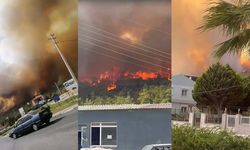 İzmir Foça’da yangın