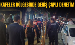 Kafeler bölgesinde geniş çaplı denetim yapıldı