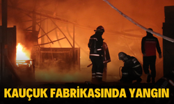 Sakarya'da Kauçuk Fabrikasında Yangın: 5 İş Yeri Kül Oldu