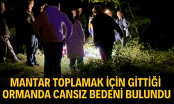 Mantar Toplamak İçin Gittiği Ormanda Cansız Bedeni Bulundu