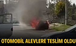 Otomobil alevlere teslim oldu