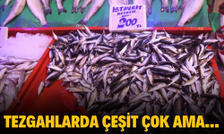 Tezgahlarda çeşit çok ama...