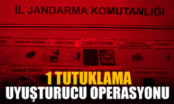 Uyuşturucu operasyonu: 1 tutuklama