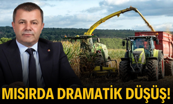 Mısırda dramatik düşüş!