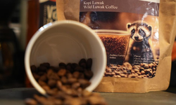 ‘Kopi Luwak'ı Sakarya'ya getirdi