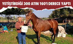 Yetiştirdiği 300 atın 160'ı derece yaptı