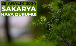 29 Aralık 2024 Sakarya hava durumu!