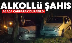 Alkollü sürücü ağaca çarparak durabildi