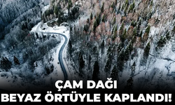 Çam Dağı beyaz örtüyle kaplandı!