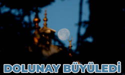 Dolunay büyüledi