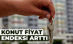 Konut Fiyat Endeksi şubatta yüzde 2,8 arttı