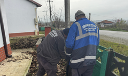 Serdivan'da Yeşil Alanlara Düzenli Bakım