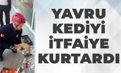 Yavru kediyi itfaiye kurtardı