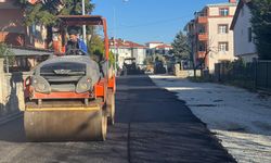 Arabacıalanı Mahallesi'nde yol yenileme çalışmaları hız kesmeden devam ediyor