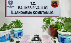 Jandarma’dan 6 ilçede uy*şturucu baskını