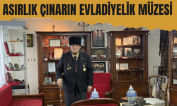 Asırlık çınarın evladiyelik müzesi